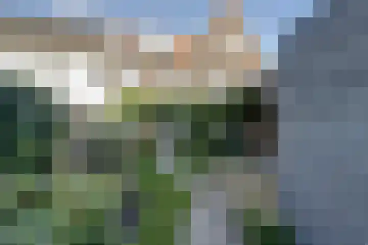 Lekstraat 70 Hoef en Haag thumbnail 37