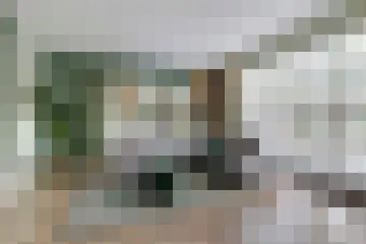Lekstraat 70 Hoef en Haag thumbnail 6