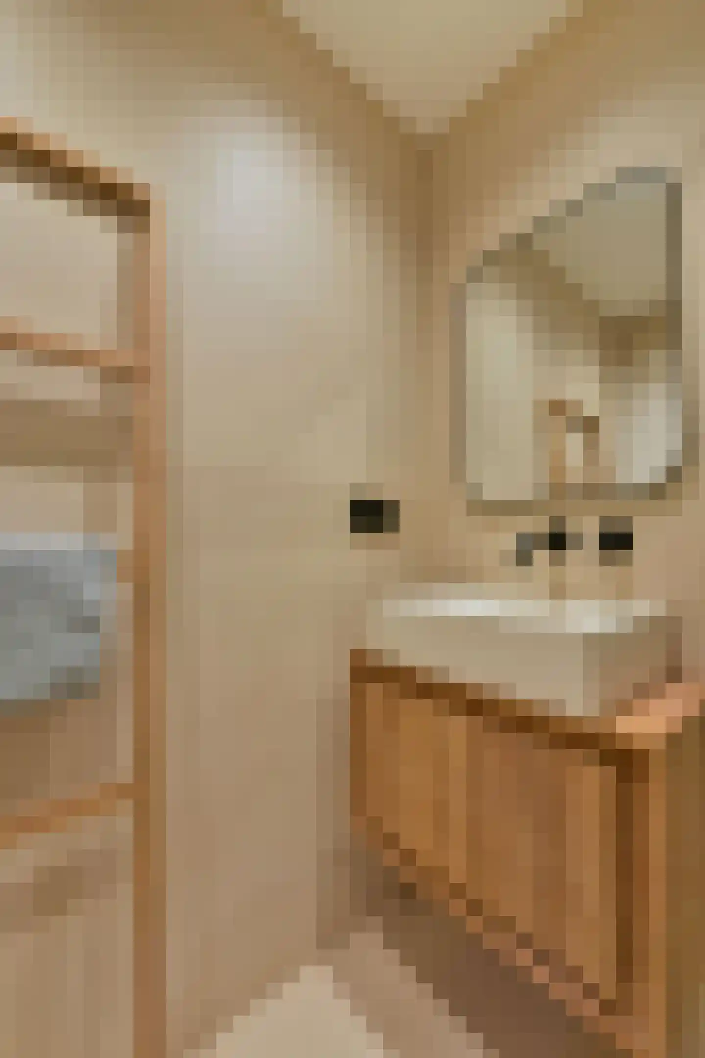 Lekstraat 71 2 Amsterdam thumbnail 29