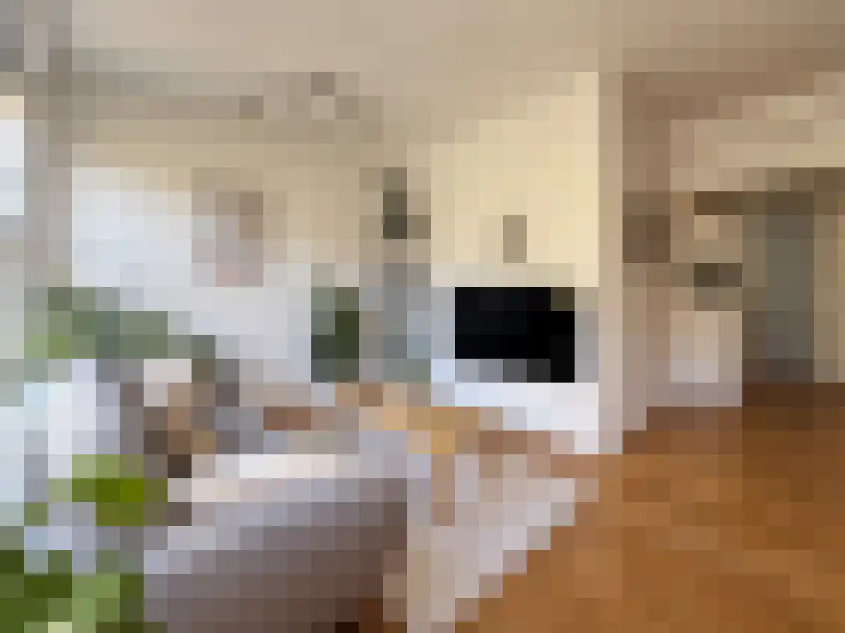 Lekstraat 71 Amsterdam thumbnail 5