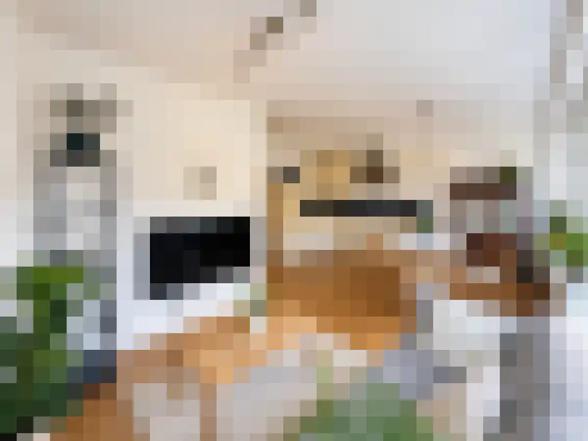 Lekstraat 71 Amsterdam thumbnail 6