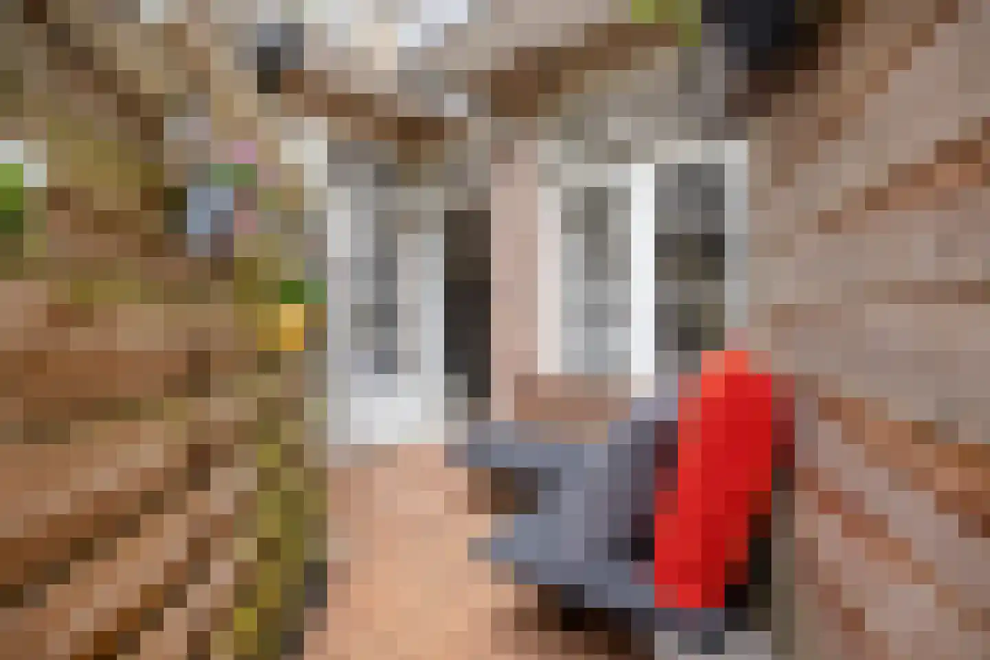 Lekstraat 75 H Amsterdam thumbnail 16