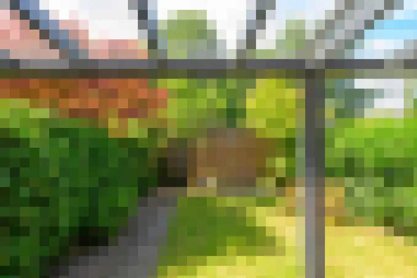 Lekstraat 8 Leiden thumbnail 9