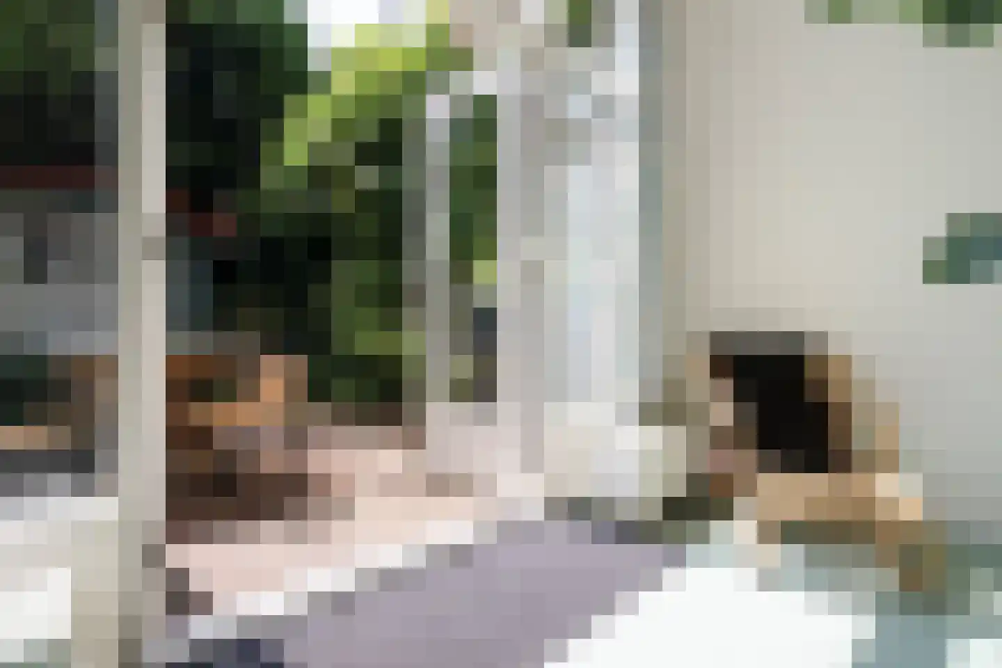 Lekstraat 89 Den Haag thumbnail 19