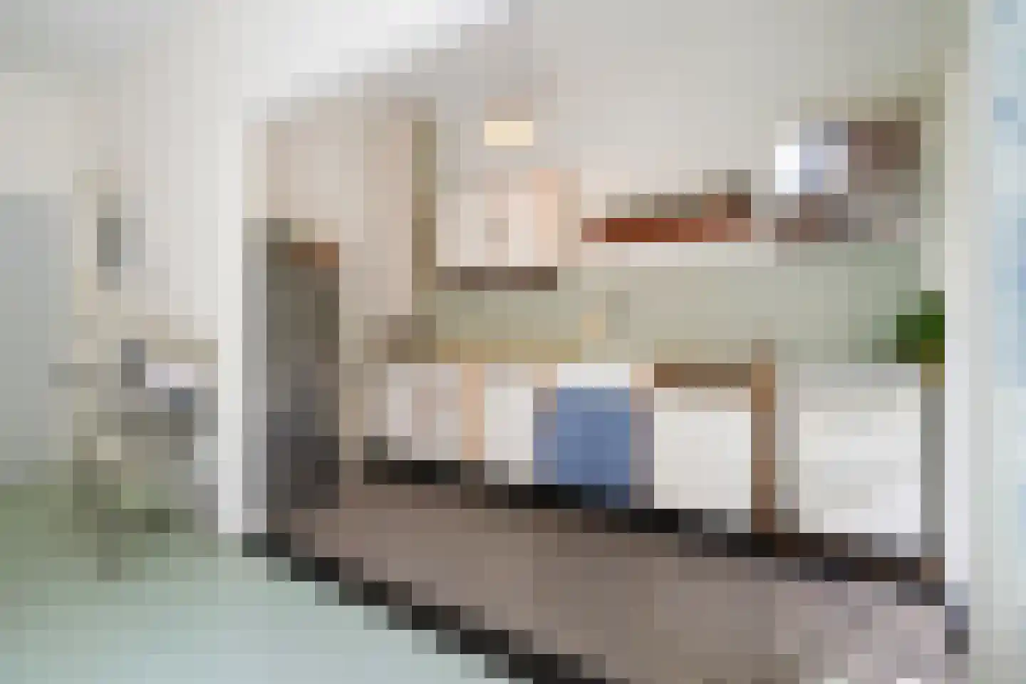 Lekstraat 89 Den Haag thumbnail 20