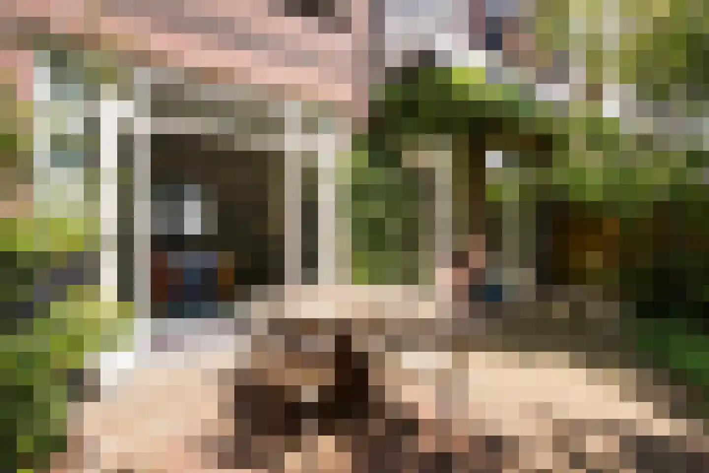 Lekstraat 89 Den Haag thumbnail 32