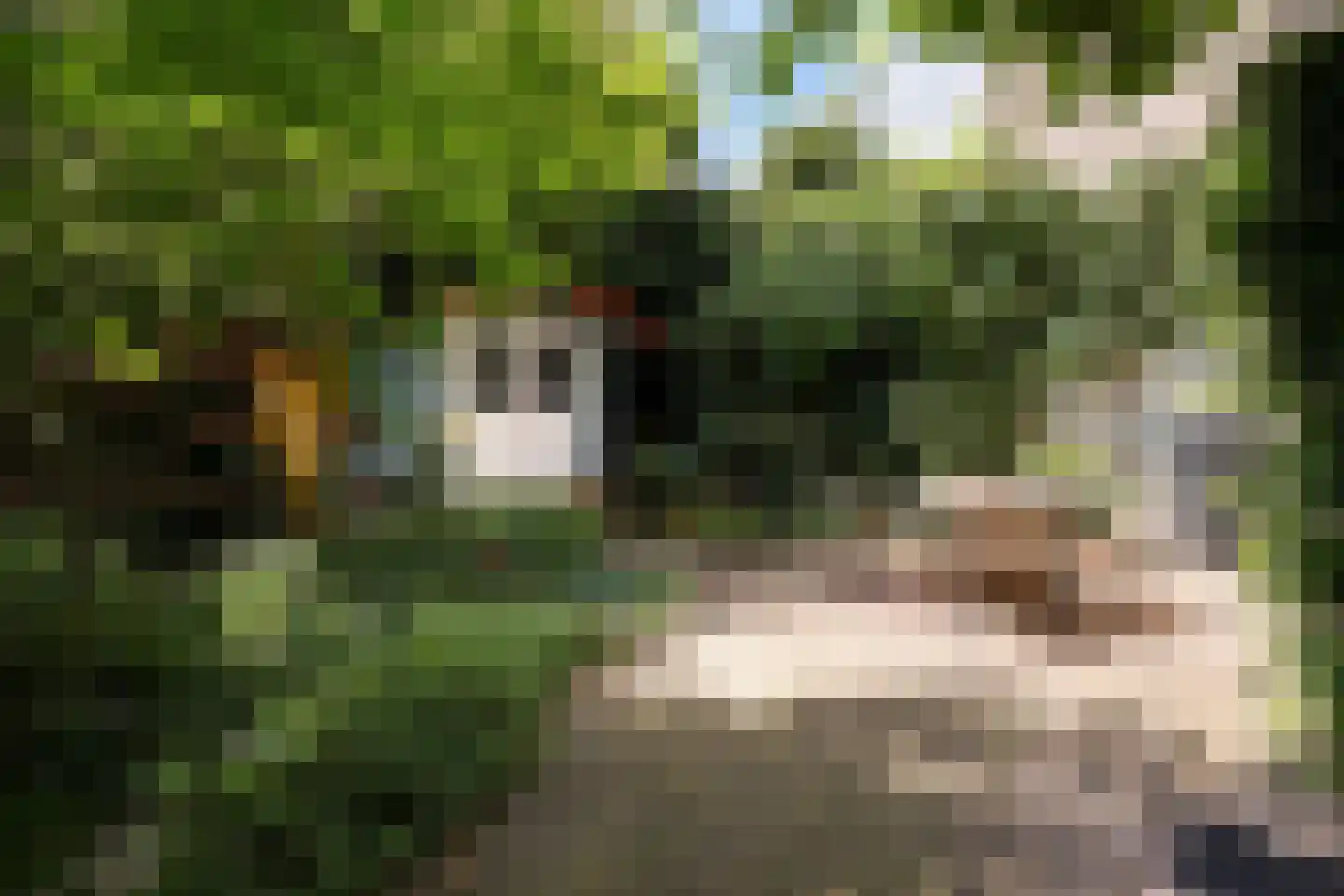 Lekstraat 89 Den Haag thumbnail 5