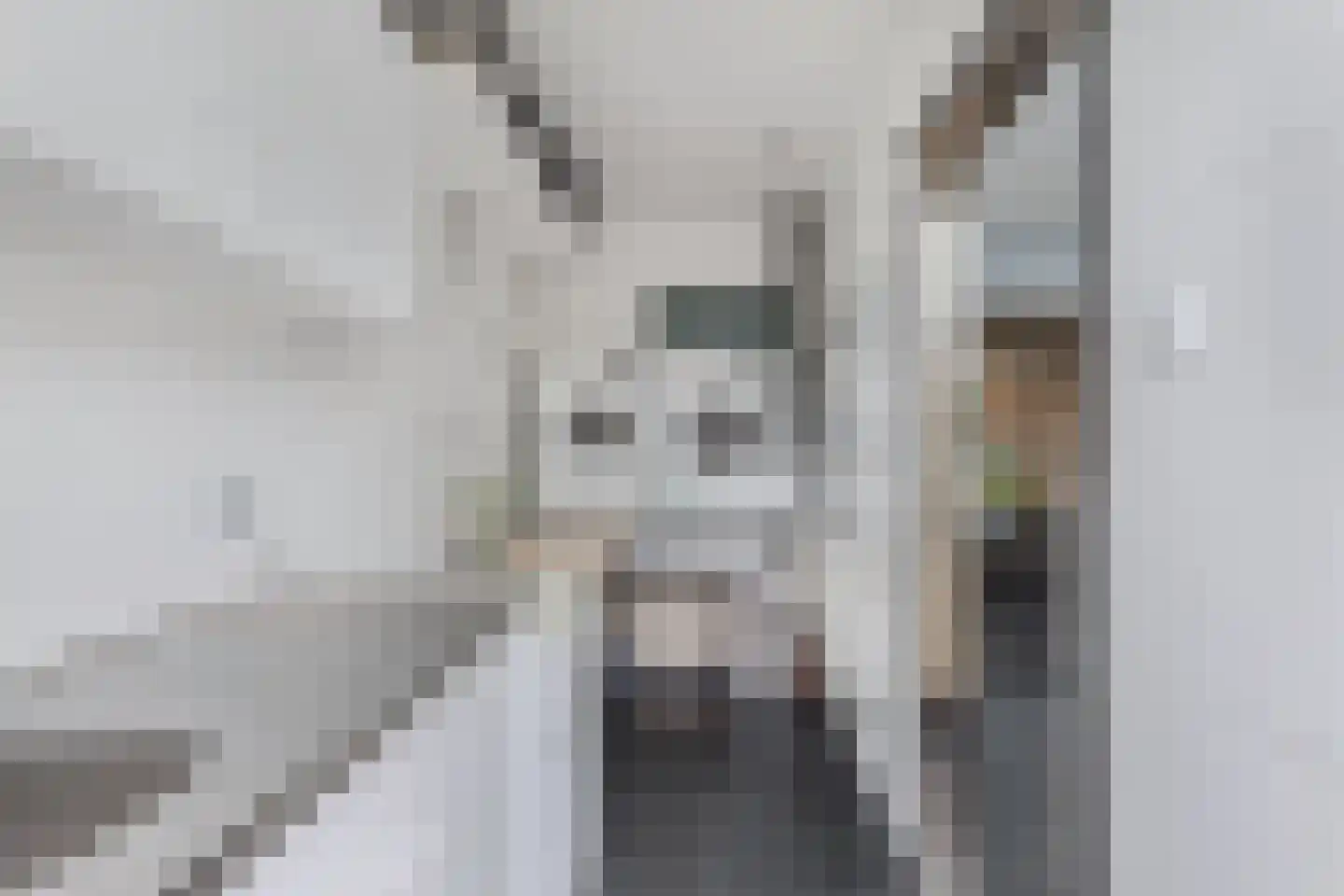 Lekstraat 9 Emmeloord thumbnail 23