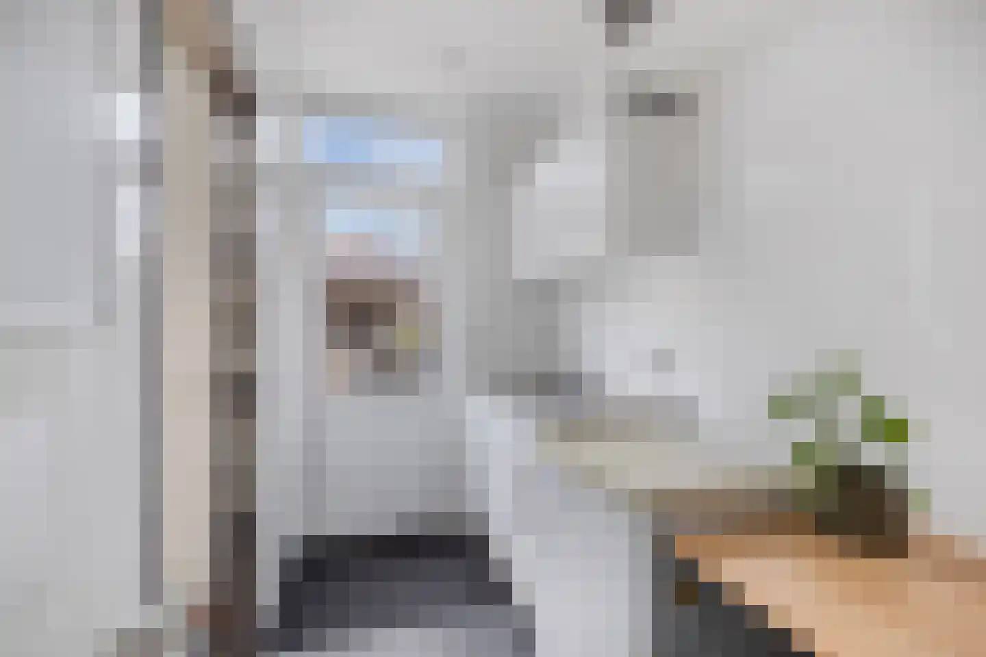 Lekstraat 9 Emmeloord thumbnail 24