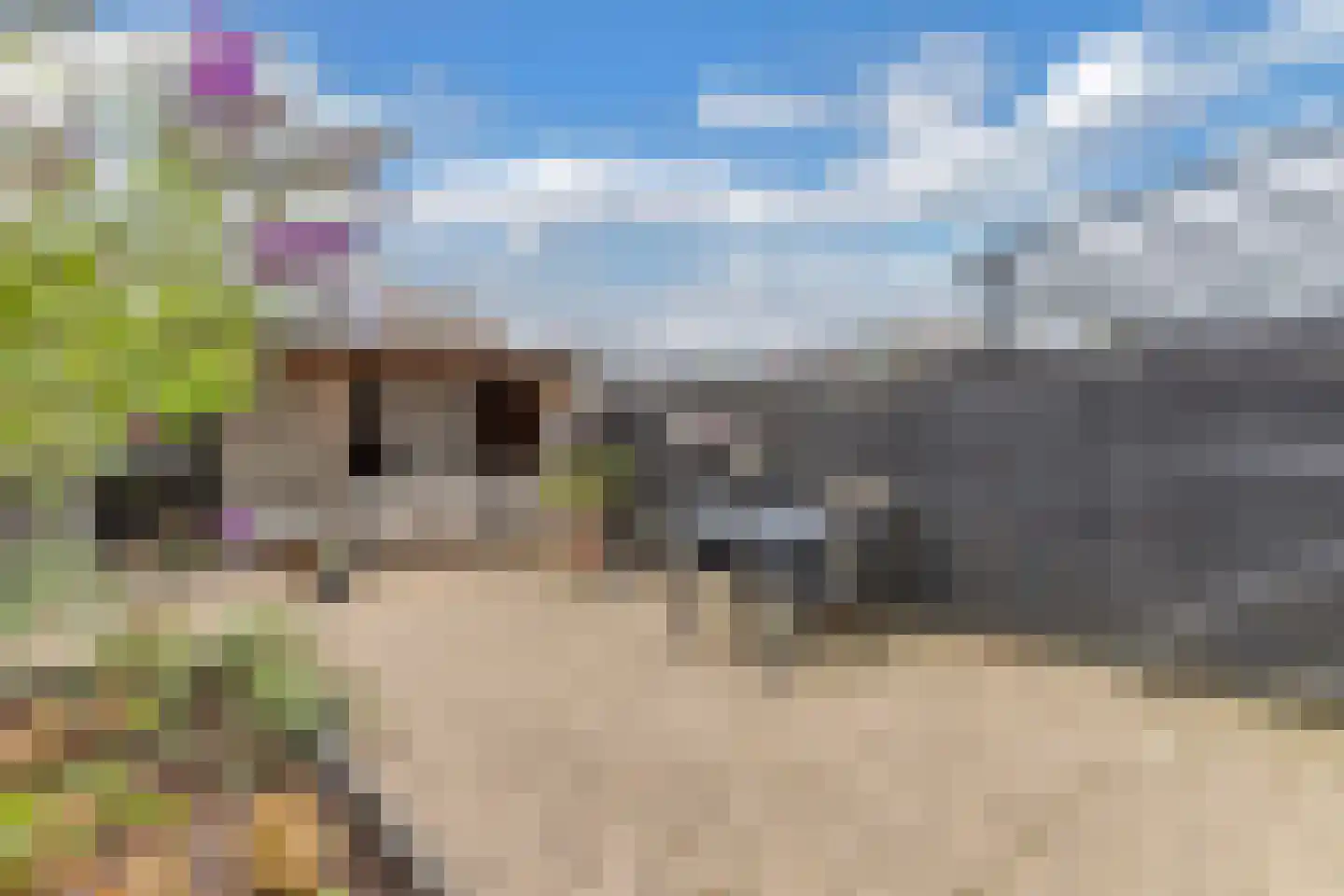Lekstraat 9 Emmeloord thumbnail 35