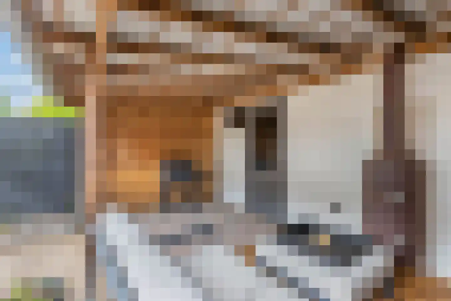 Lekstraat 9 Emmeloord thumbnail 39