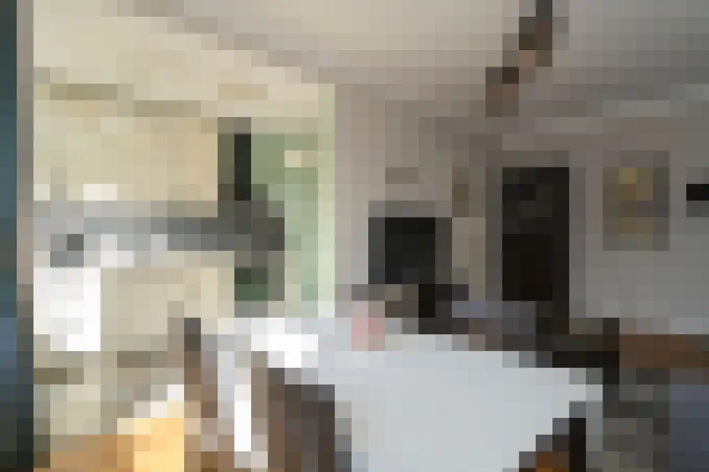 Lekstraat 91 A Den Haag thumbnail 4