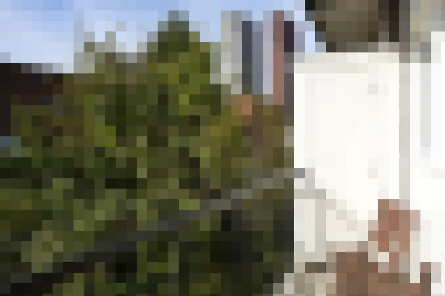Lekstraat 91 A Den Haag thumbnail 6
