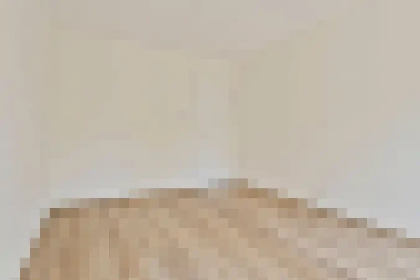 Lekstraat 95 's-Hertogenbosch thumbnail 12