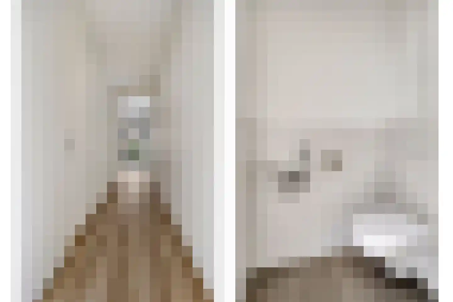Lekstraat 95 's-Hertogenbosch thumbnail 15