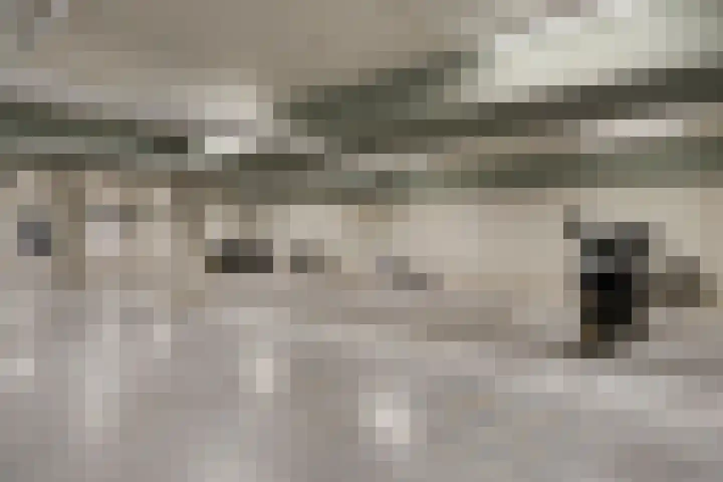 Lekstraat 95 's-Hertogenbosch thumbnail 19