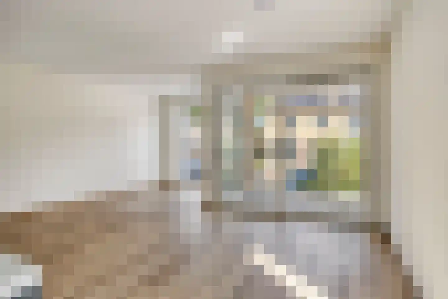 Lekstraat 95 's-Hertogenbosch thumbnail 7