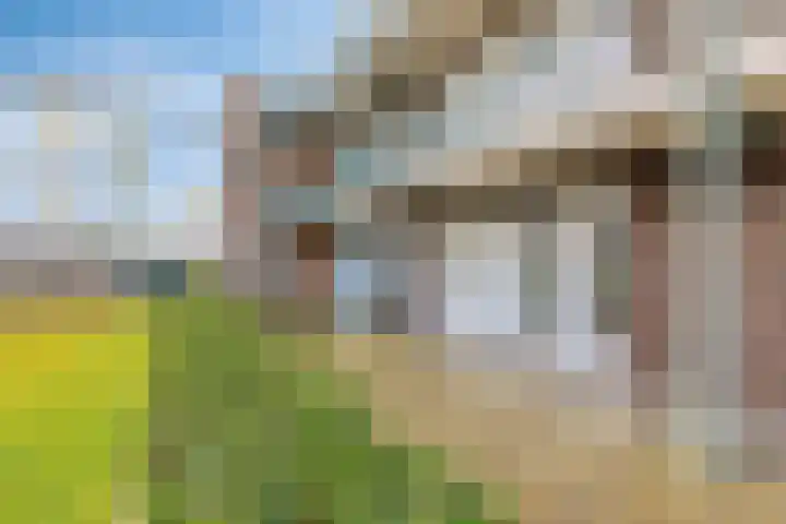 Lekstraat 99 's-Hertogenbosch thumbnail 14