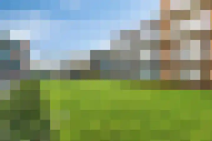 Lekstraat 99 's-Hertogenbosch thumbnail 15