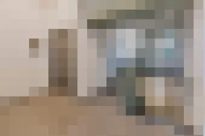 Lekstraat 99 's-Hertogenbosch thumbnail 16