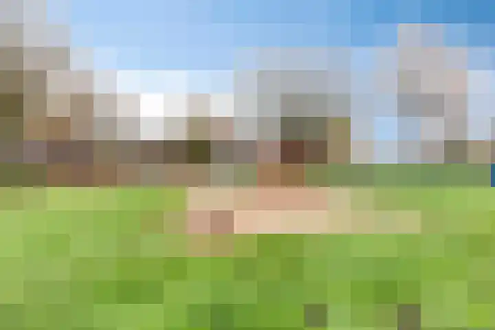 Lekstraat 99 's-Hertogenbosch thumbnail 20