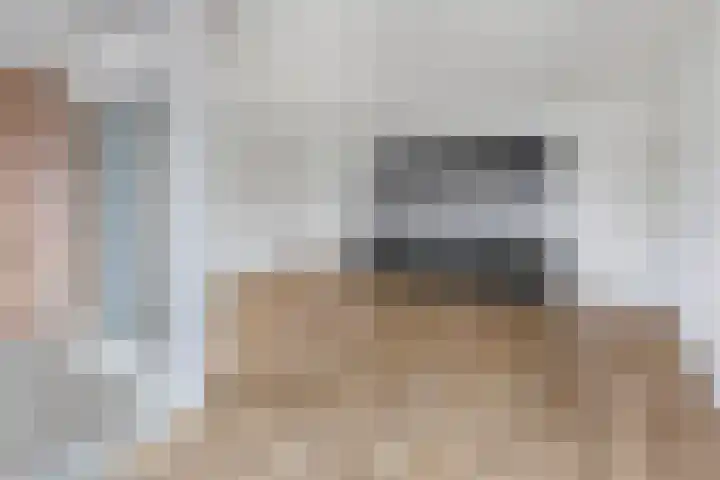 Lekstraat 99 's-Hertogenbosch thumbnail 5