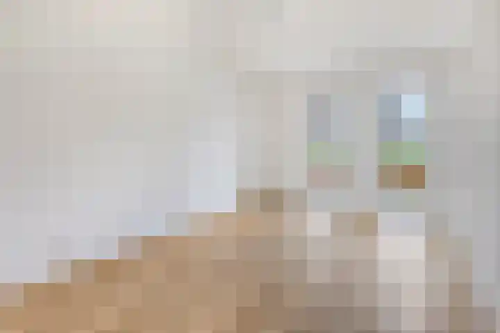 Lekstraat 99 's-Hertogenbosch thumbnail 8