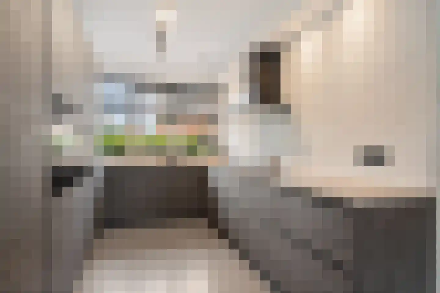 Lekstroom 104 Zoetermeer thumbnail 22