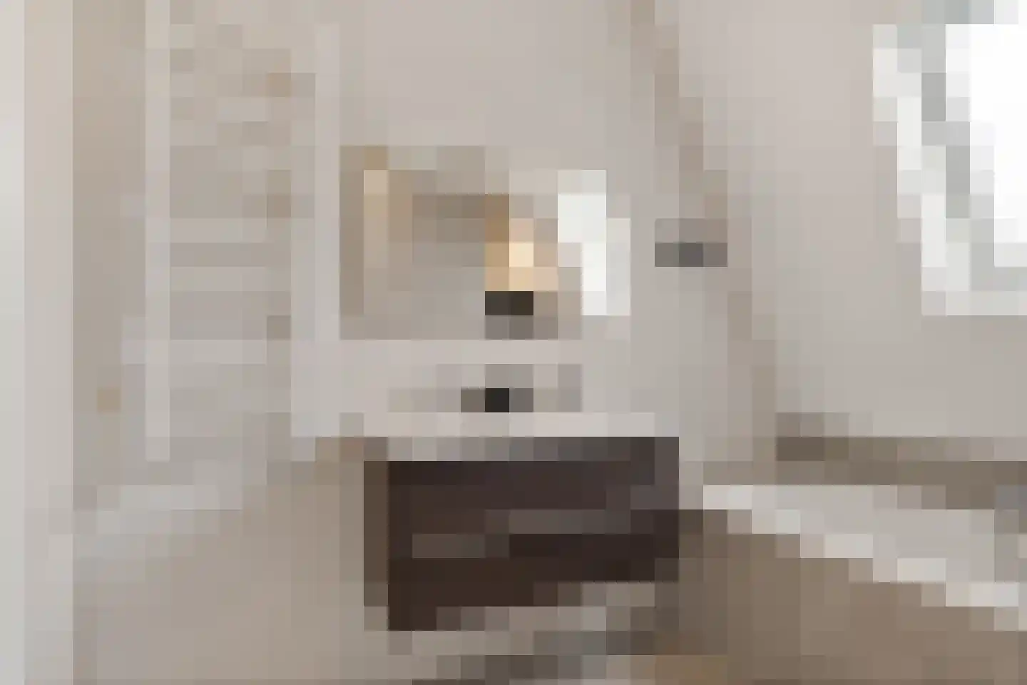 Lekstroom 104 Zoetermeer thumbnail 37