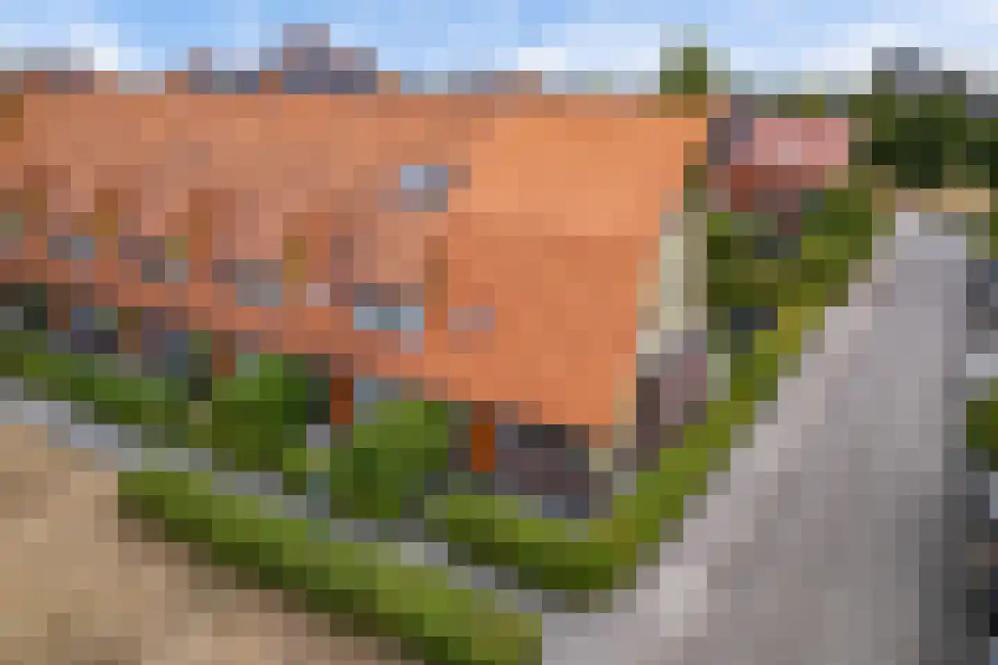 Lekstroom 104 Zoetermeer thumbnail 7