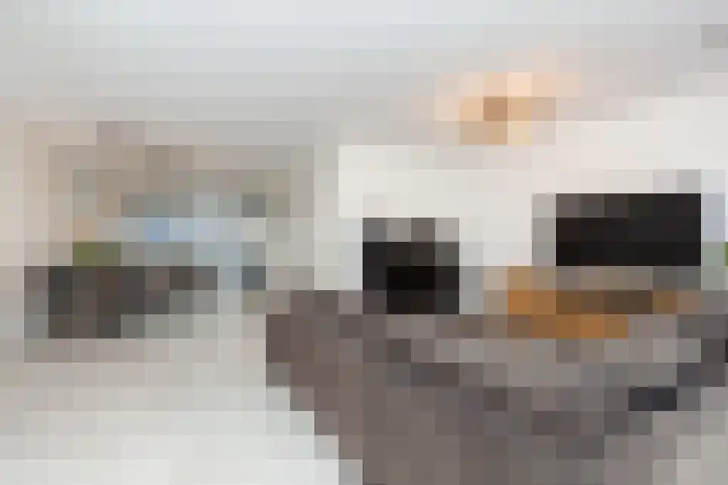 Lekstroom 60 Zoetermeer thumbnail 5