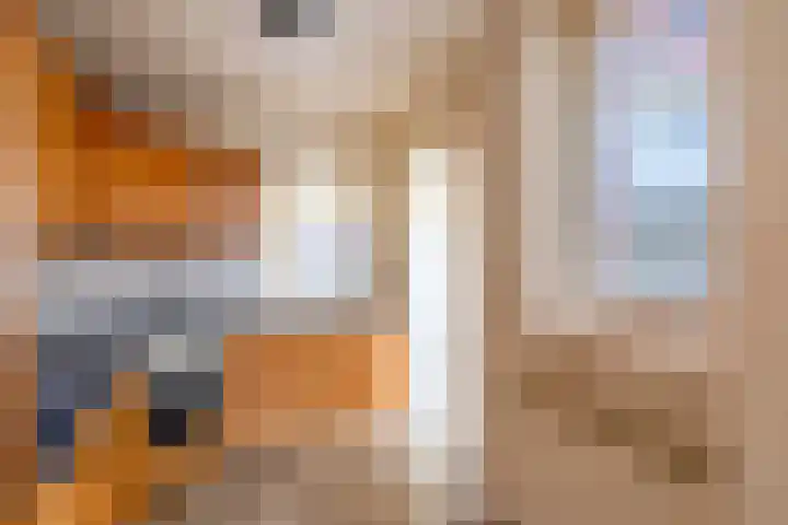 Lelie 13 Venray thumbnail 11