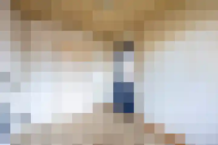 Lelie 13 Venray thumbnail 14