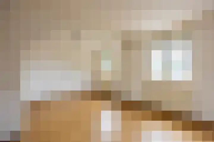 Lelie 13 Venray thumbnail 18