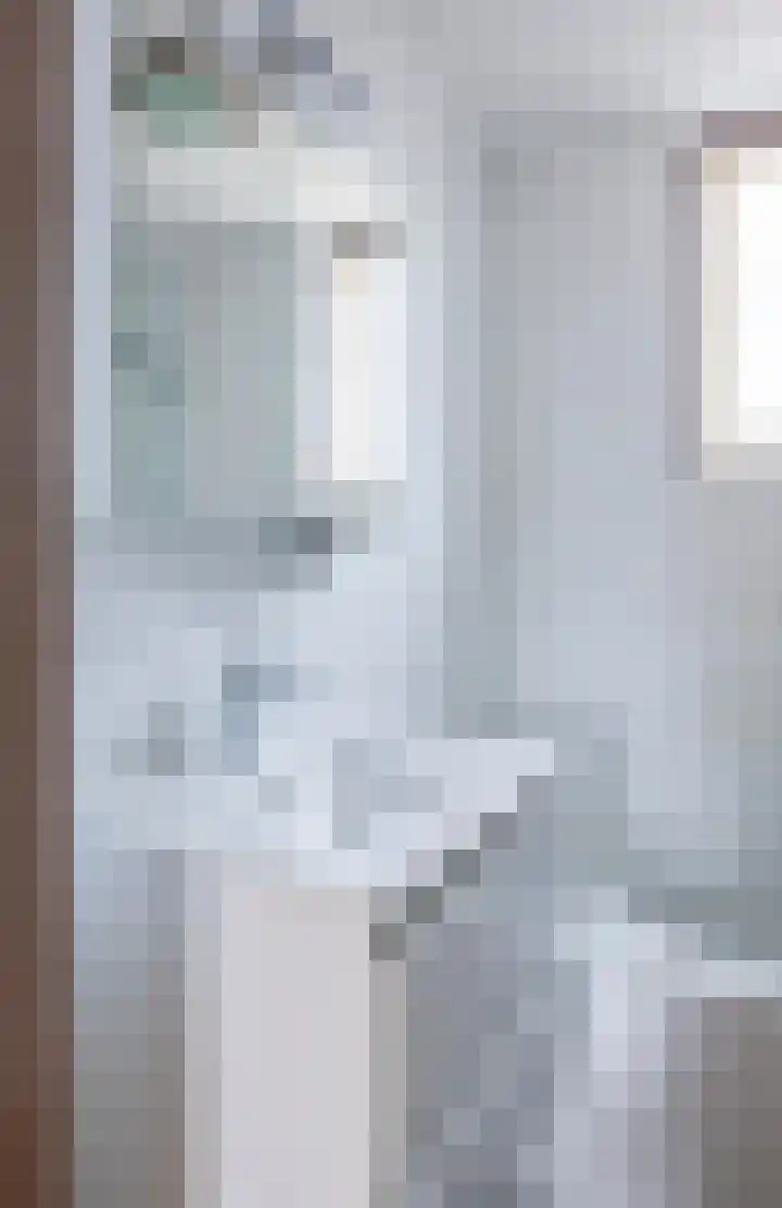 Lelie 13 Venray thumbnail 23