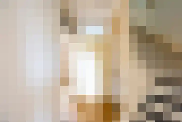 Lelie 13 Venray thumbnail 25