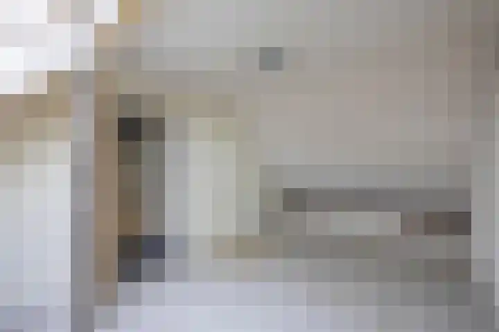 Lelie 13 Venray thumbnail 27