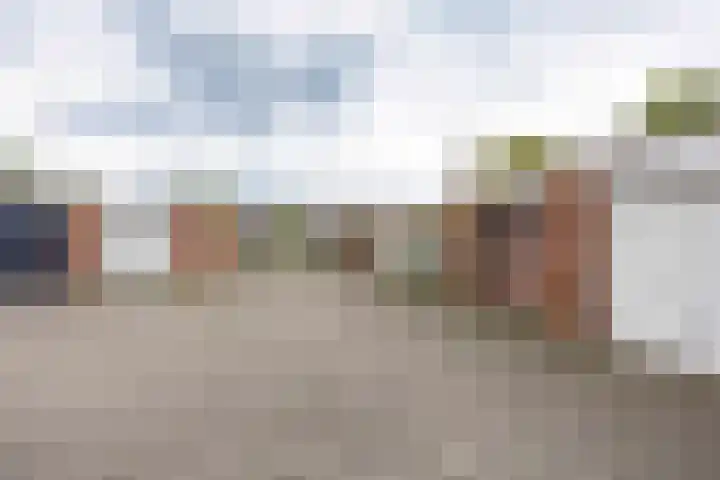 Lelie 13 Venray thumbnail 28