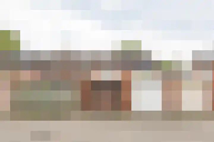 Lelie 13 Venray thumbnail 29