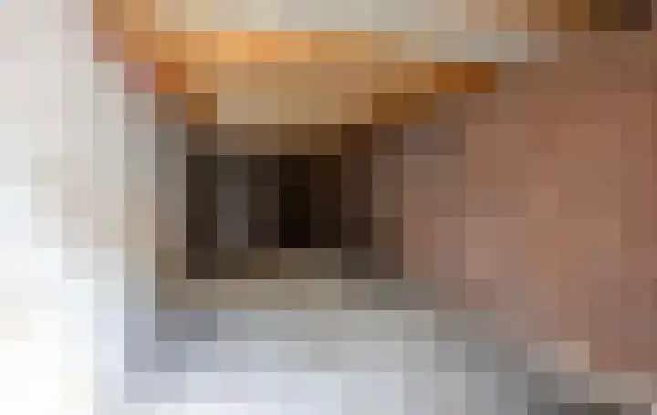Lelie 13 Venray thumbnail 30
