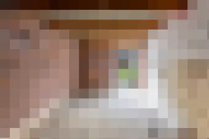 Lelie 13 Venray thumbnail 31