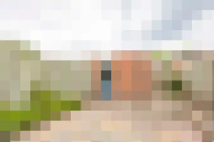 Lelie 13 Venray thumbnail 32