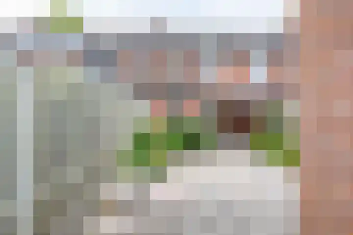 Lelie 13 Venray thumbnail 33