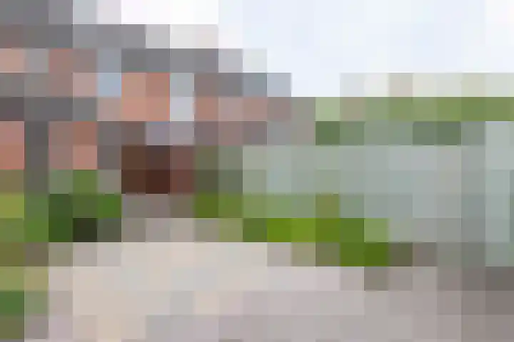 Lelie 13 Venray thumbnail 34
