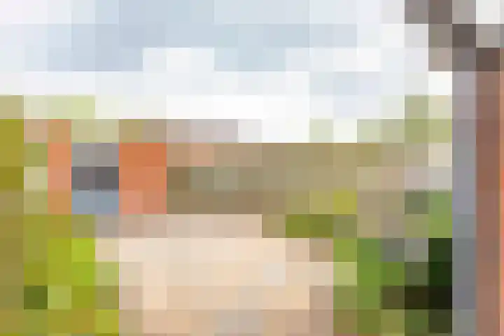 Lelie 13 Venray thumbnail 37