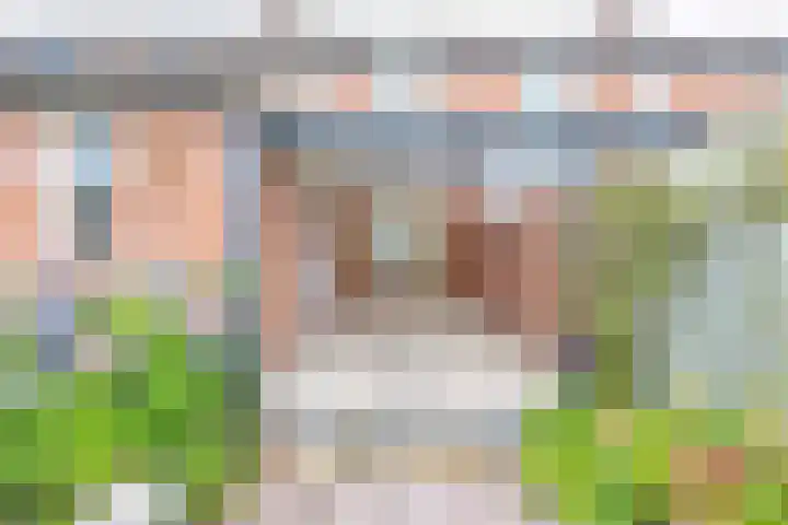 Lelie 13 Venray thumbnail 38