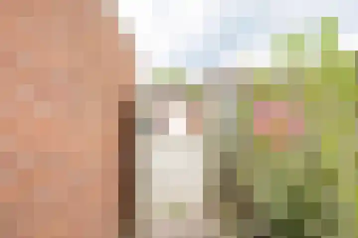 Lelie 13 Venray thumbnail 39