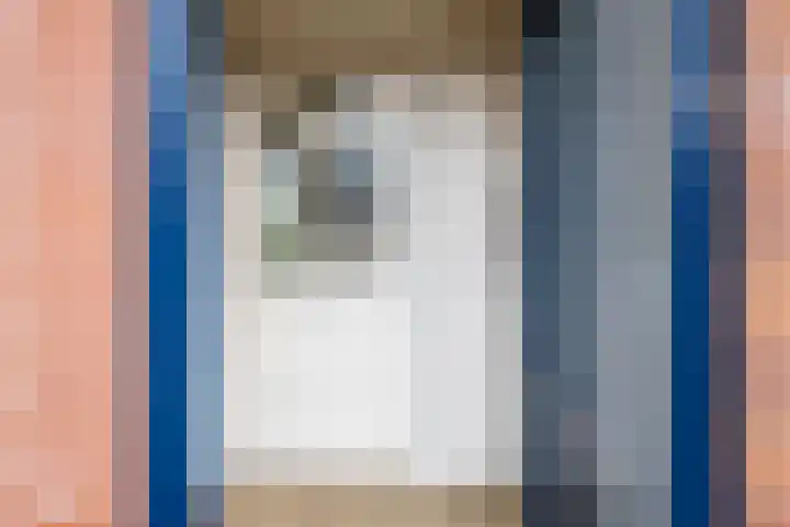 Lelie 13 Venray thumbnail 4