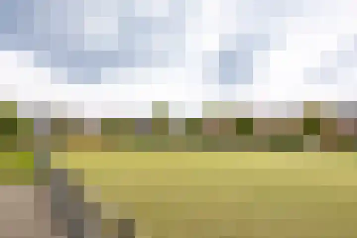 Lelie 13 Venray thumbnail 40