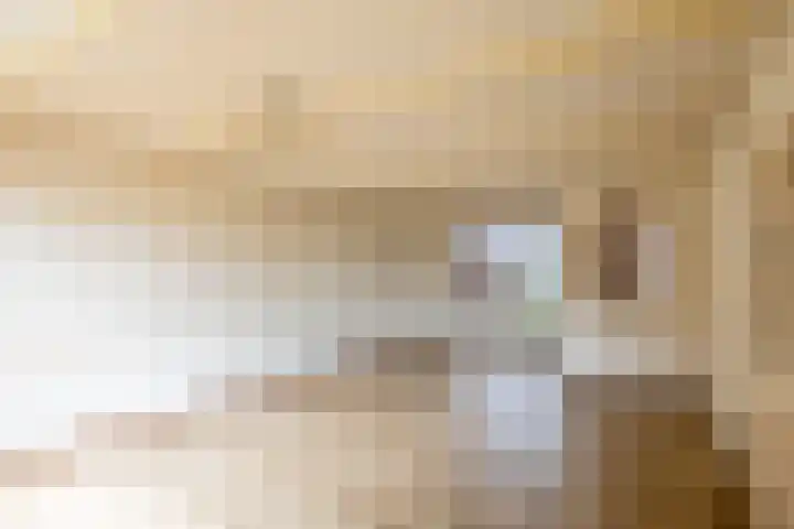 Lelie 13 Venray thumbnail 8